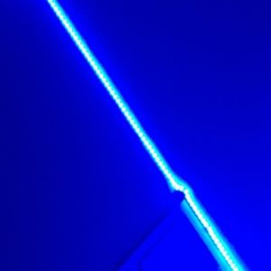 Meet your Posher, Annabelle